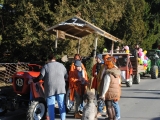 DSC_1584