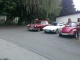 IMAG0780